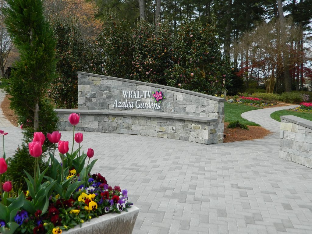 Commercail Flowers 27