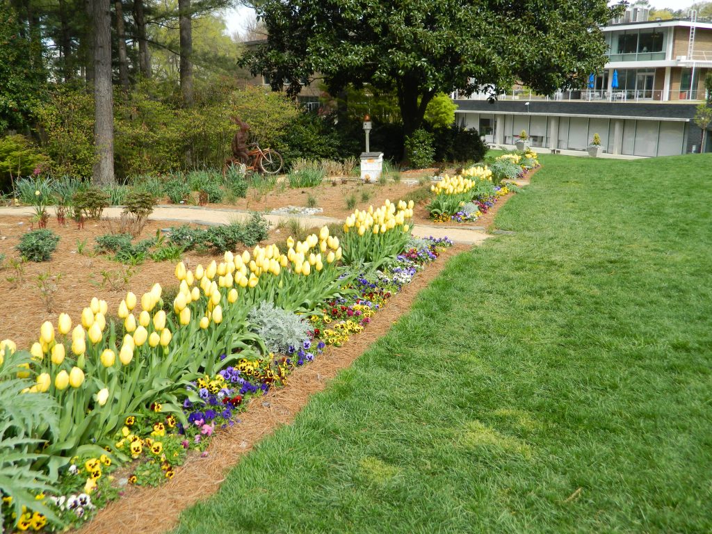 Commercail Flowers 29