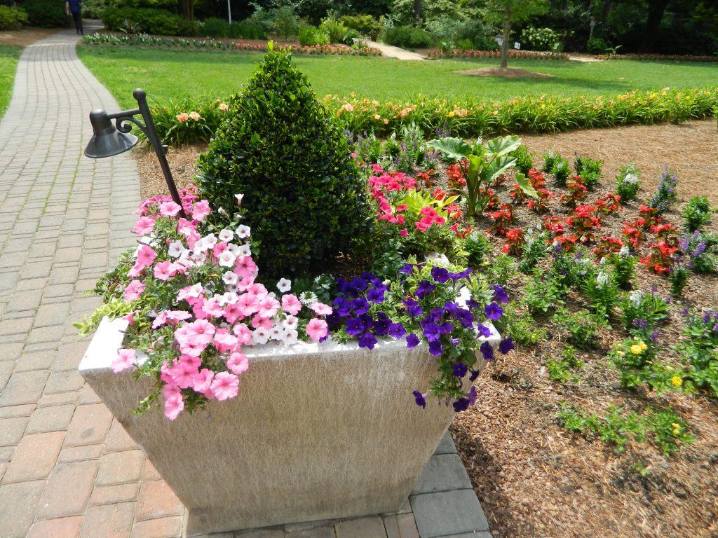 Commercial Flowers 10