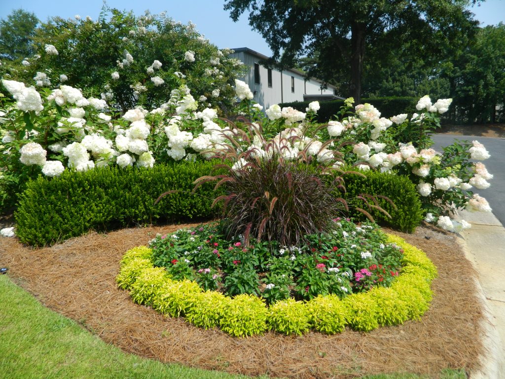Commercial Flowers 33