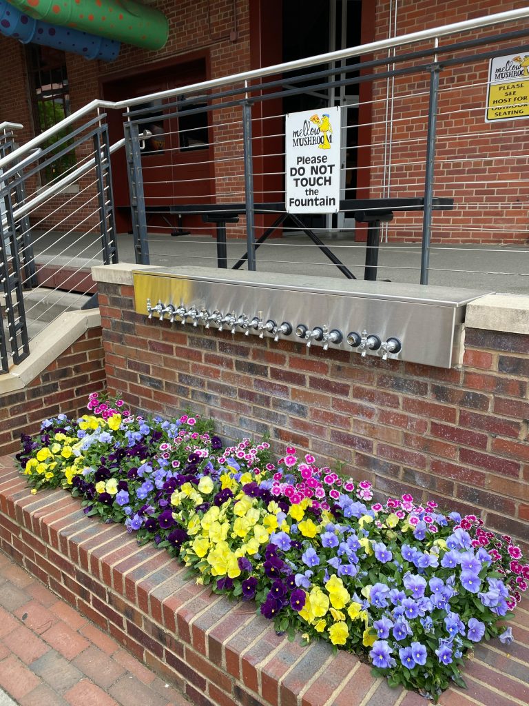 Commercial Flowers 9