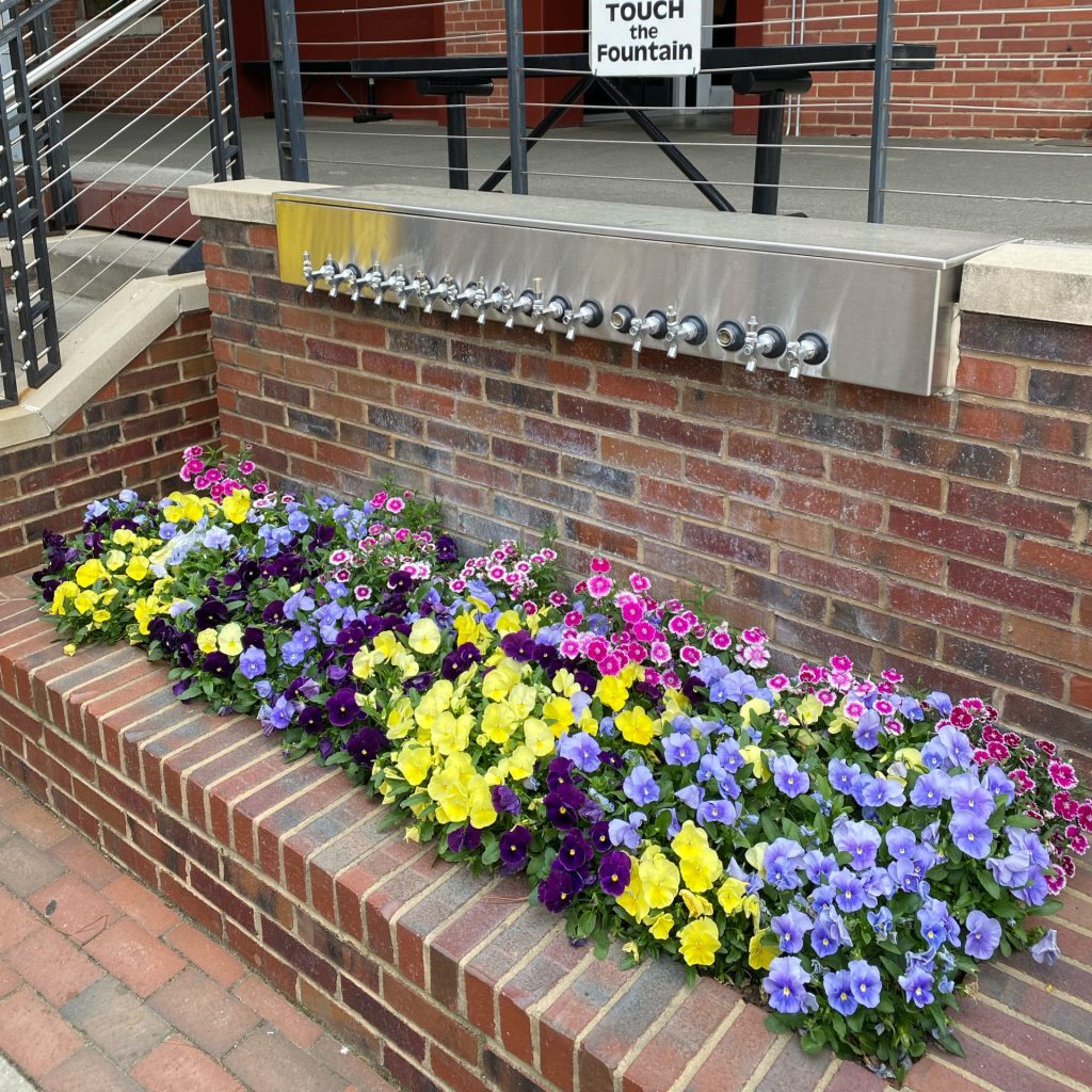 Commercial-Flowers-9-scaled